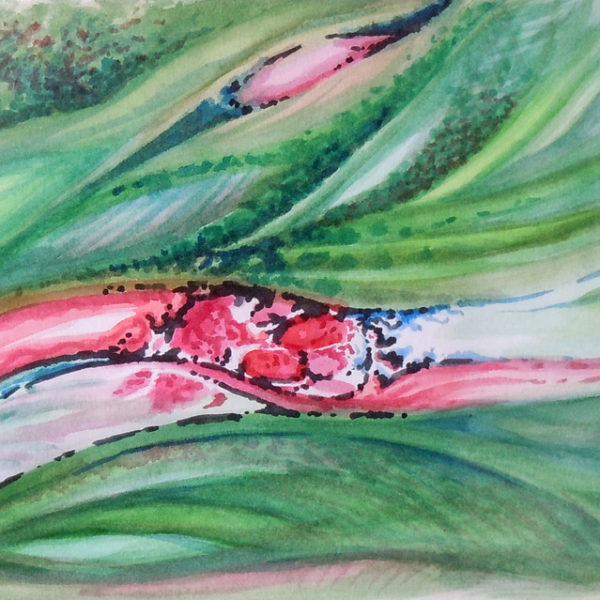 peinture Meditation Vegetale