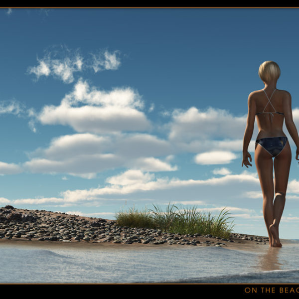 on the beach