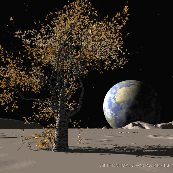 tree on the moon
