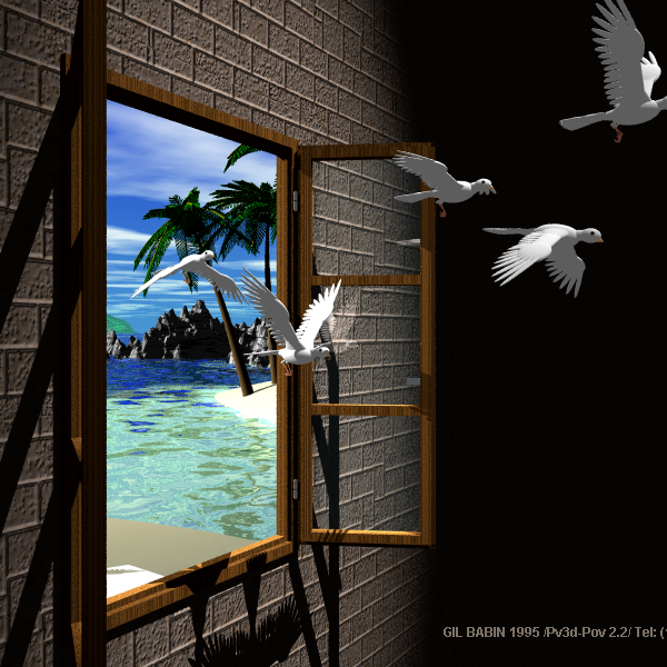 window birds
